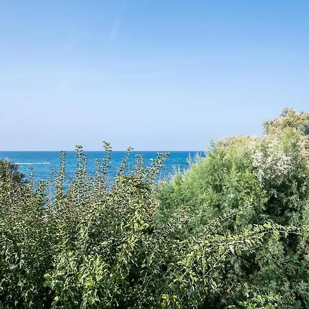 Angela Beach 2*
